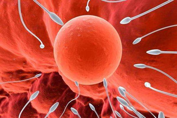 男人补硒有什么功效(男人补硒能提高性功能吗)-硒宝网