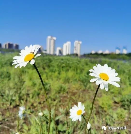 补铁后皮肤变黑如何恢复(补铁后皮肤变黑怎么办)-硒宝网