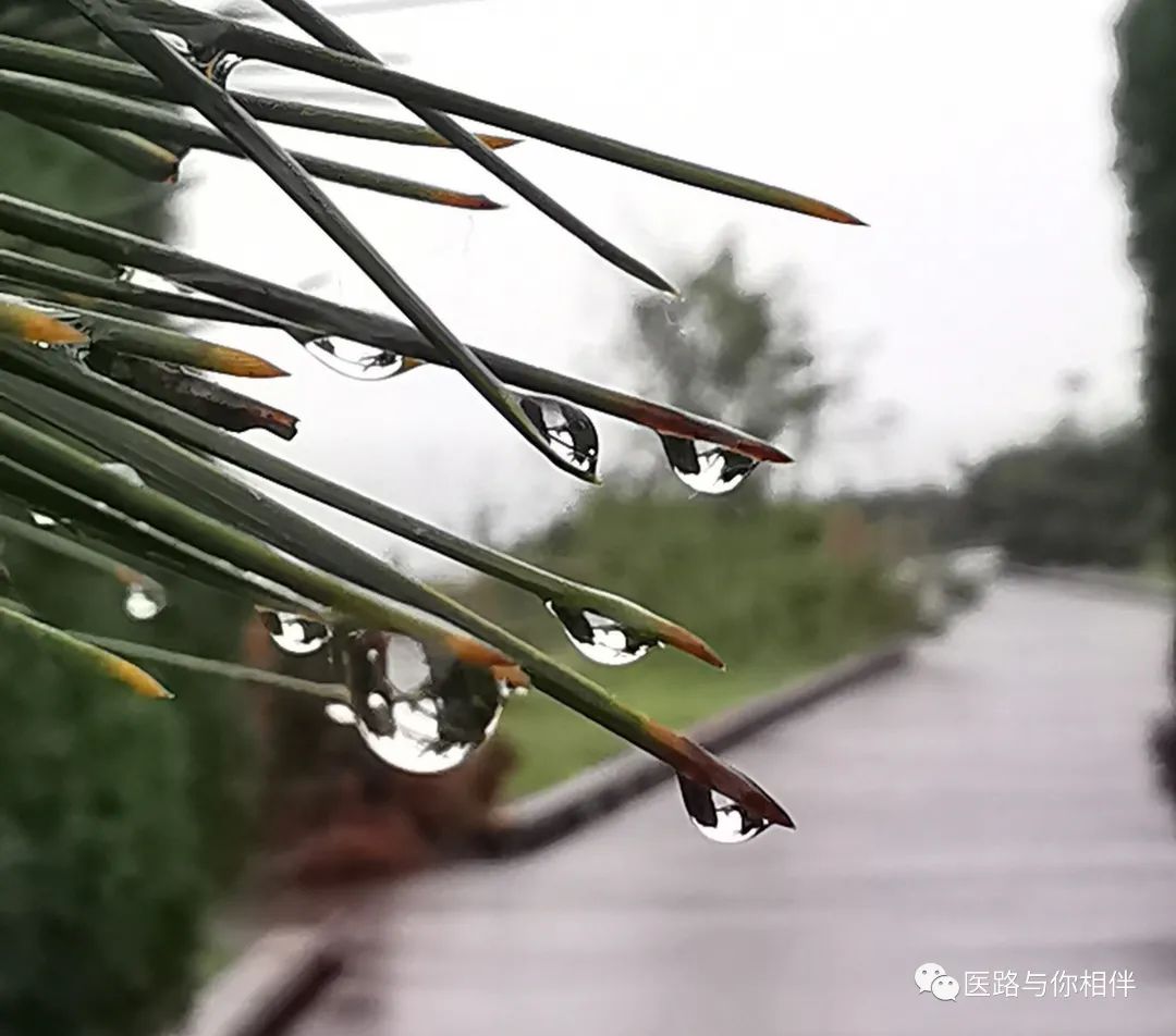 补铁后皮肤变黑如何恢复(补铁后皮肤变黑怎么办)-硒宝网