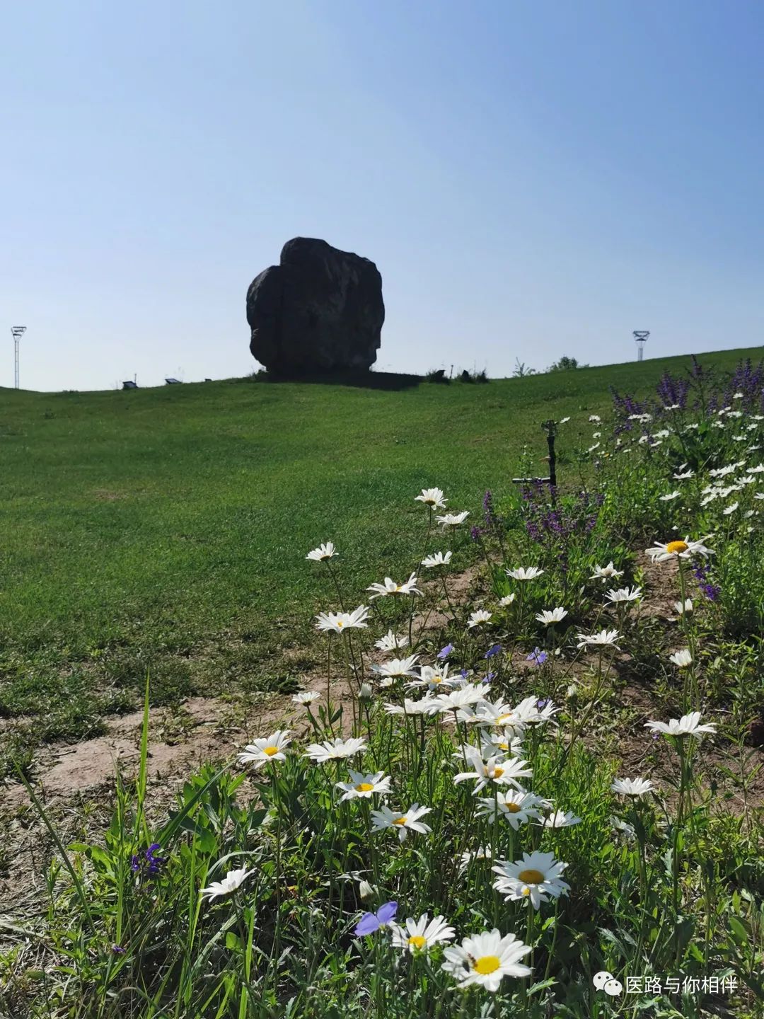 补铁后皮肤变黑如何恢复(补铁后皮肤变黑怎么办)-硒宝网