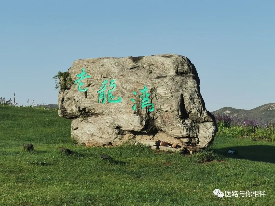 补铁后皮肤变黑如何恢复(补铁后皮肤变黑怎么办)-硒宝网