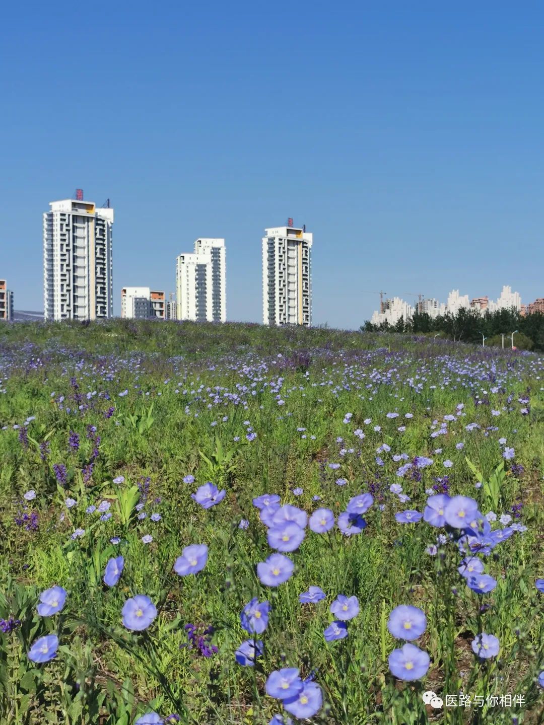 补铁后皮肤变黑如何恢复(补铁后皮肤变黑怎么办)-硒宝网