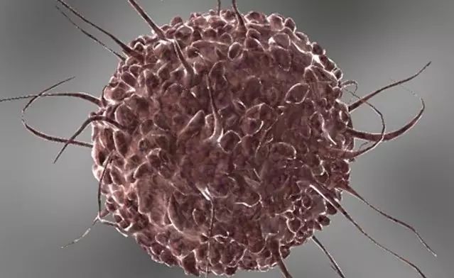 补硒能预防哪些疾?。ú刮梢栽し滥男┘膊。?硒宝网