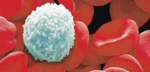 补硒能预防哪些疾?。ú刮梢栽し滥男┘膊。?硒宝网