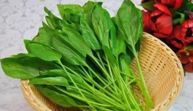 春季为什么补硒多吃(补硒可以长期吃吗)-硒宝网