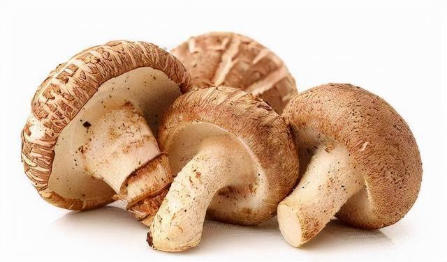 春季为什么补硒多吃（多补充硒）-硒宝网