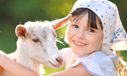 羊奶能补钙吗(补钙羊奶好还是驼奶好)-硒宝网