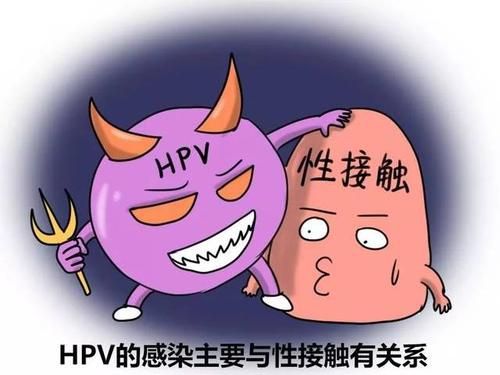 补锌能提高免疫力吗（免疫力低补锌）-硒宝网