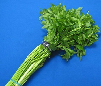 啥食物补钙效果最好（食补钙比较好的食材有）-硒宝网