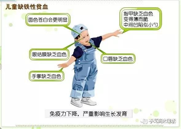 白芝麻补钙吗（芝麻补钙）-硒宝网