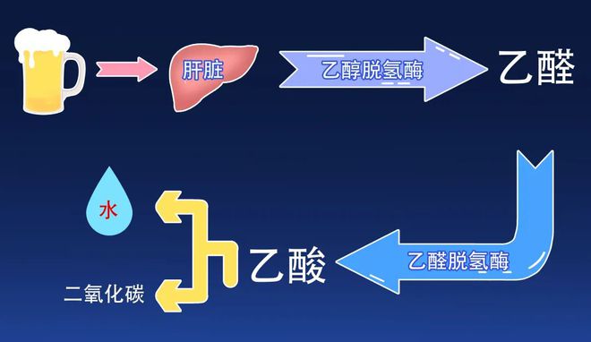 微量元素表图片(微量元素表图片大全)-硒宝网