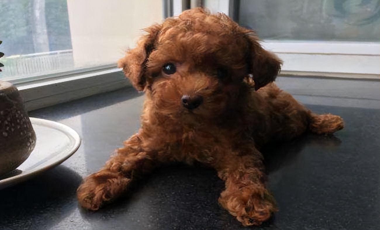 补钙是液体钙好还是钙片好(钙片液体钙好还是钙片好)-硒宝网