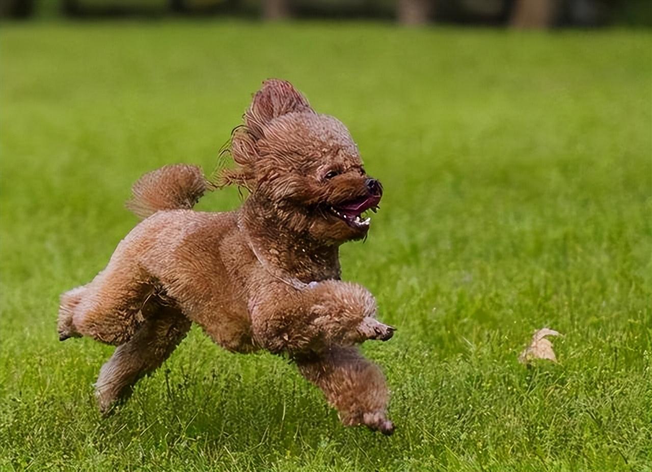 补钙是液体钙好还是钙片好(钙片液体钙好还是钙片好)-硒宝网
