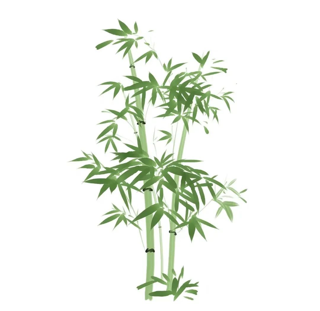 平时可以补点硒元素（硒元素可以随便补吗）-硒宝网