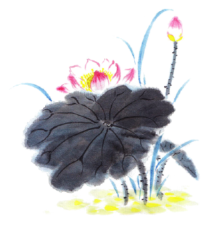 平时可以补点硒元素（硒元素可以随便补吗）-硒宝网