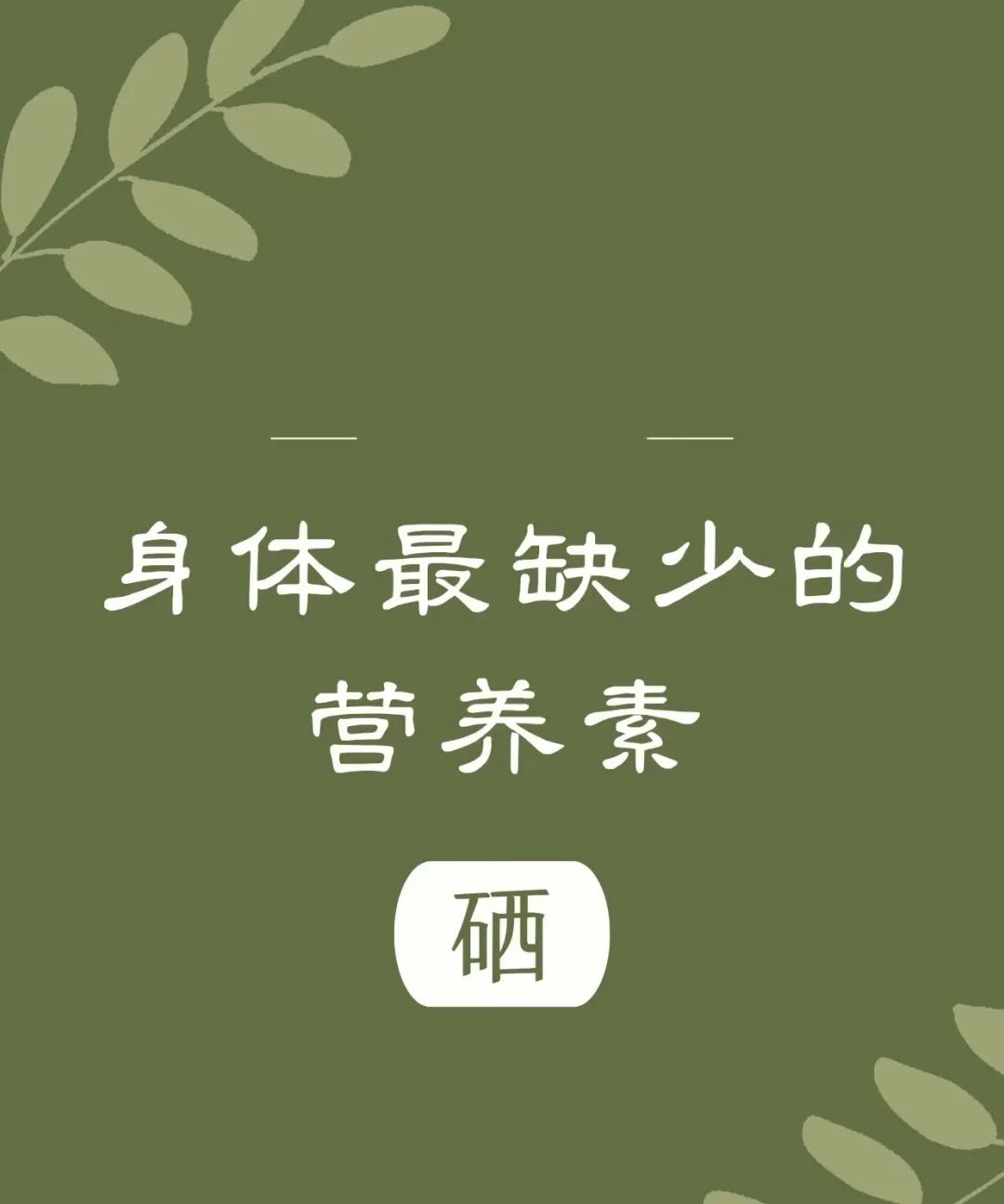 平时可以补点硒元素（硒元素可以随便补吗）-硒宝网