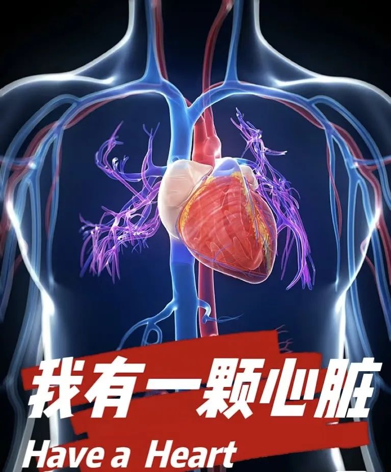 平时可以补点硒元素（硒元素可以随便补吗）-硒宝网