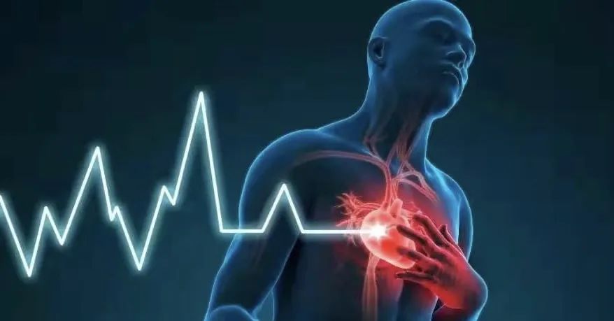 平时可以补点硒元素（硒元素可以随便补吗）-硒宝网