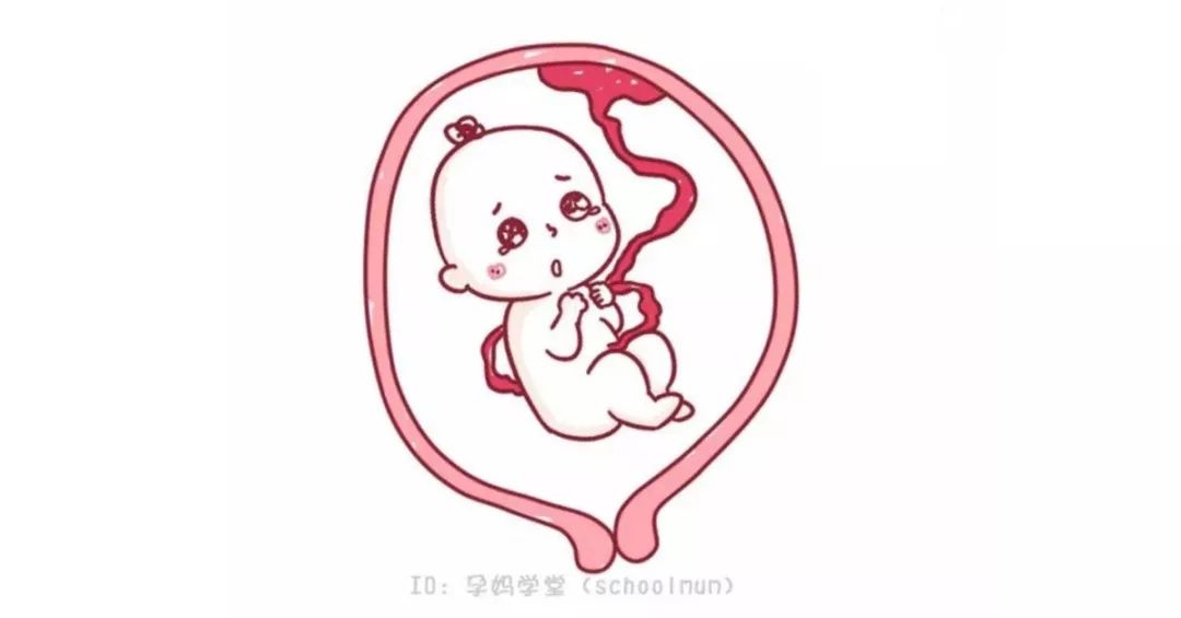 吃螃蟹补钙吗(吃螃蟹补钙么)-硒宝网