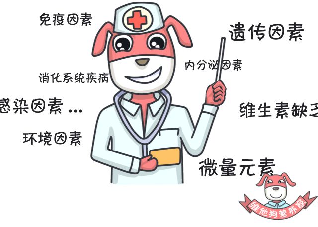 狗狗缺微量元素的症状（狗狗缺症状微量元素有哪些）-硒宝网