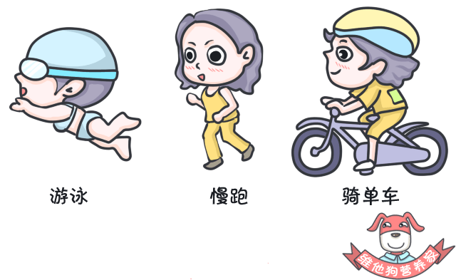 狗狗缺微量元素的症状（狗狗缺症状微量元素有哪些）-硒宝网