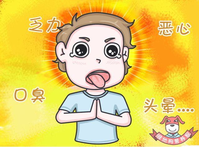 狗狗缺微量元素的症状（狗狗缺症状微量元素有哪些）-硒宝网