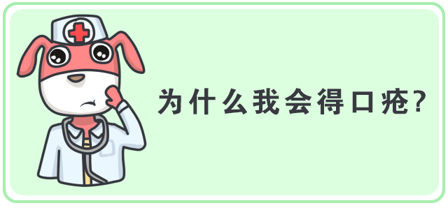 狗狗缺微量元素的症状（狗狗缺症状微量元素有哪些）-硒宝网