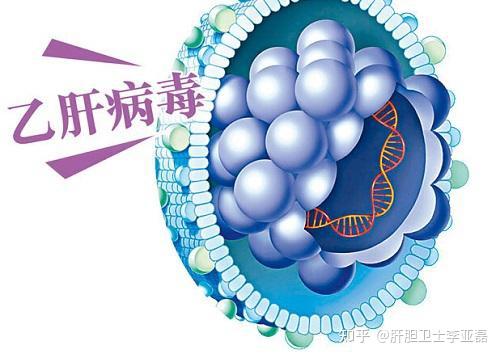 补硒会升高转氨酶吗(升高补转氨酶硒会升高吗)-硒宝网