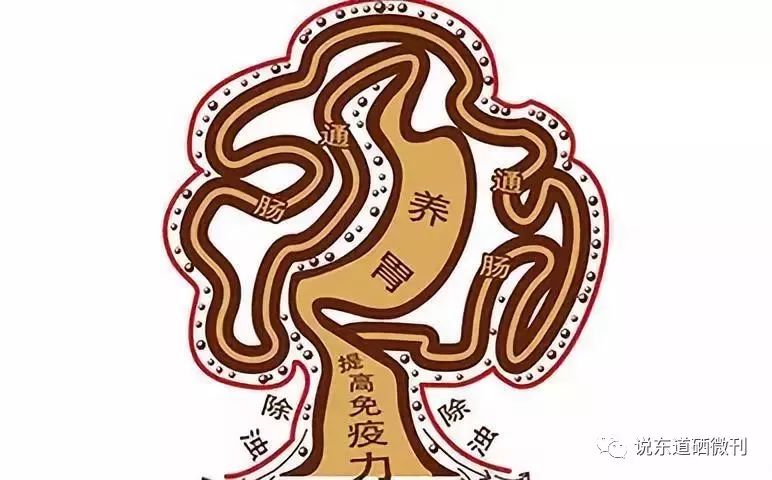 胃癌晚期补硒吃什么(晚期补胃癌吃硒片有用吗)-硒宝网