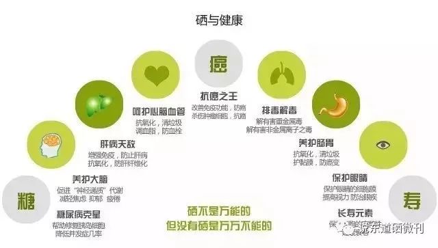 胃癌晚期补硒吃什么(晚期补胃癌吃硒片有用吗)-硒宝网