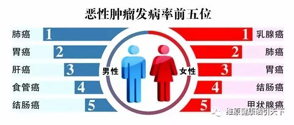 肿瘤补硒产品哪个好(肿瘤病人补硒疗效案例)-硒宝网