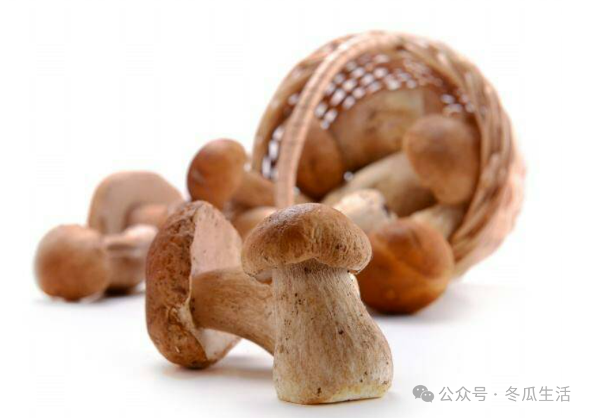 吃什么食物补硒最好(吃硒补什么)-硒宝网