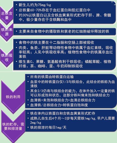 九个月宝宝吃啥补钙（宝宝吃补钙的多久之后能有效果）-硒宝网