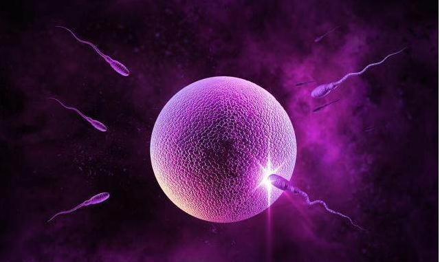 男士如何补锌补硒呢(男士补锌硒及维生素)-硒宝网