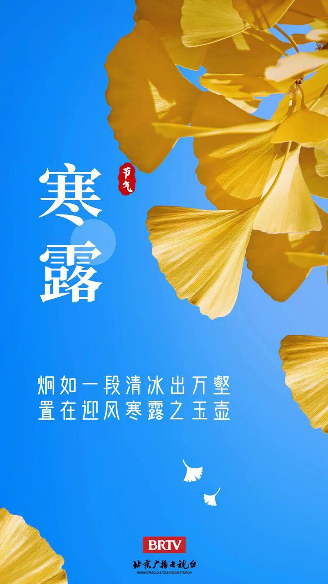 补血补铁的药有哪些（补血药补铁有副作用吗）-硒宝网