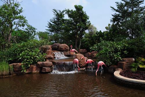 为什么补硒可以长寿（长寿补硒可以长高吗）-硒宝网