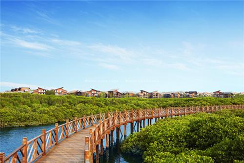 为什么补硒可以长寿（长寿补硒可以长高吗）-硒宝网