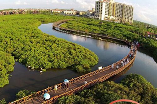 为什么补硒可以长寿（长寿补硒可以长高吗）-硒宝网