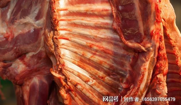 羊血补铁吗(羊血补铁)-硒宝网