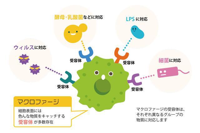 补硒能治疗白癜风么(补硒治疗妇科病吗)-硒宝网