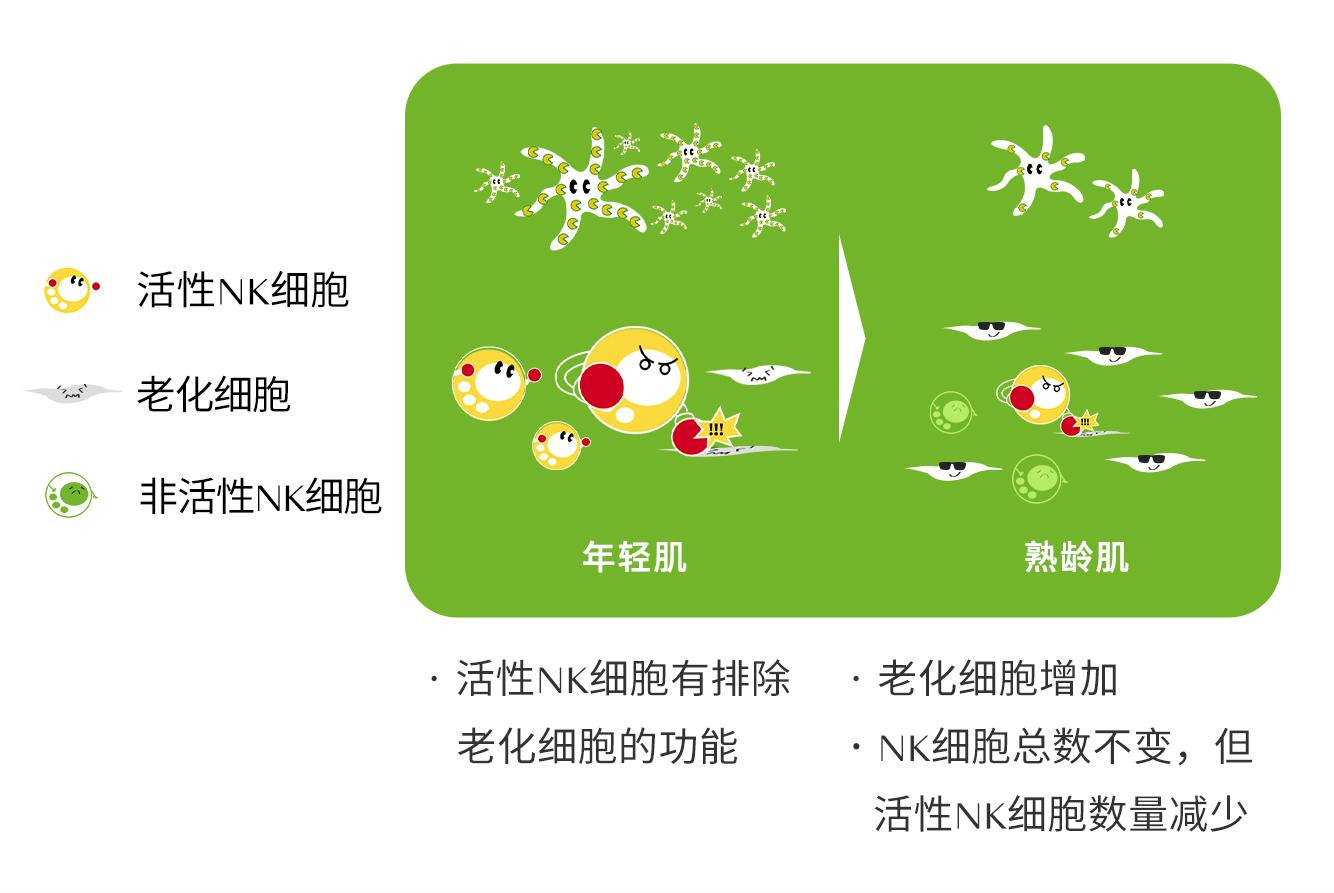 补硒能治疗白癜风么(补硒治疗妇科病吗)-硒宝网