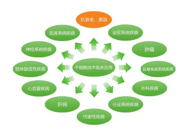 补硒能治疗白癜风么(补硒治疗妇科病吗)-硒宝网