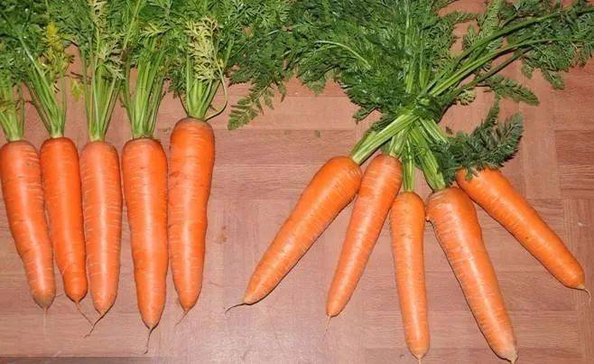 女性怎么补硒最有效(女性补硒有什么作用)-硒宝网