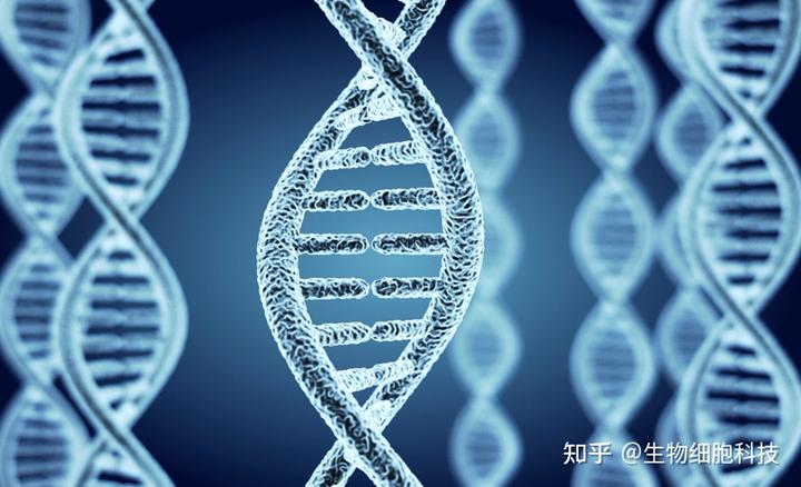 补硒能治疗白癜风么（白癜风福州能治疗吗）-硒宝网