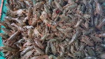 冬天需要补钙吗(冬天是补钙的好时机吗)-硒宝网