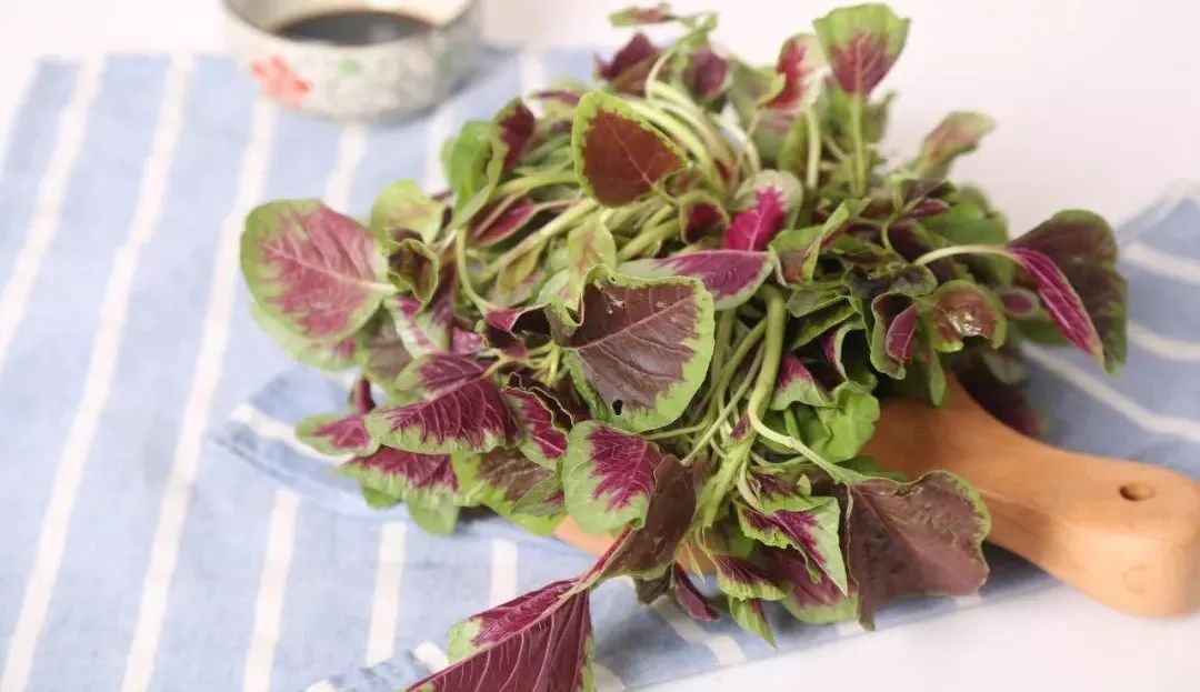 孕妇补硒过度会怎样(补硒对孕妇有害吗)-硒宝网