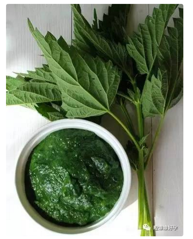 孕期需要补钙吗（孕期补钙需要检查吗）-硒宝网