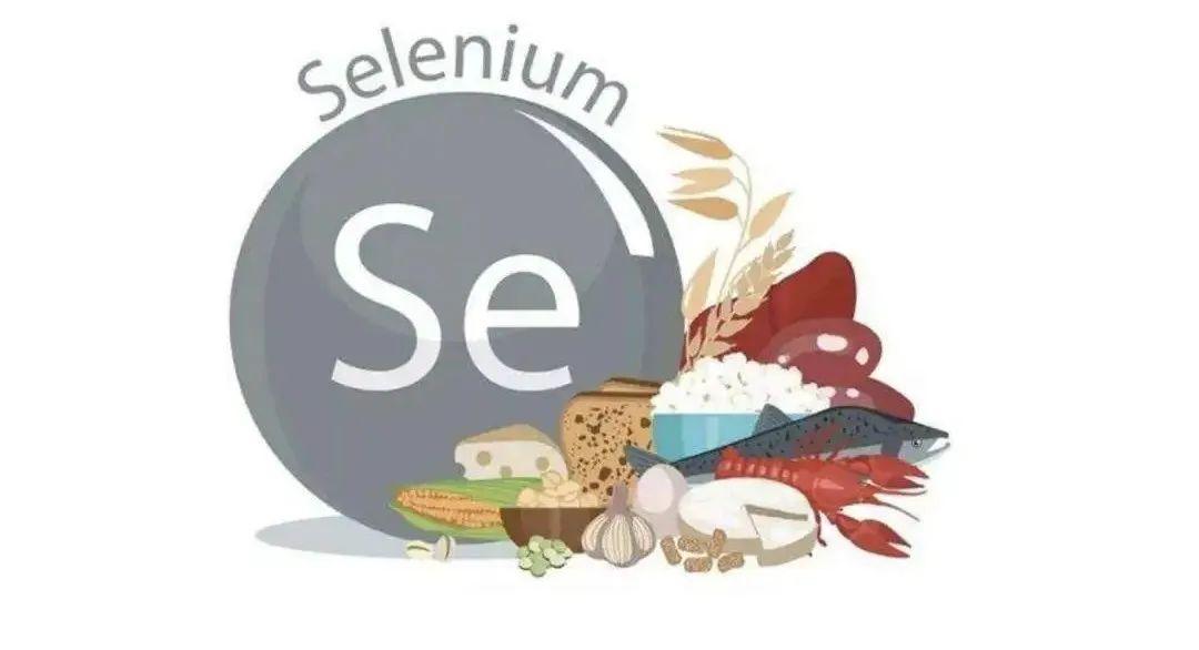 小猪补硒有什么好处(小猪补硒补多了怎么办)-硒宝网