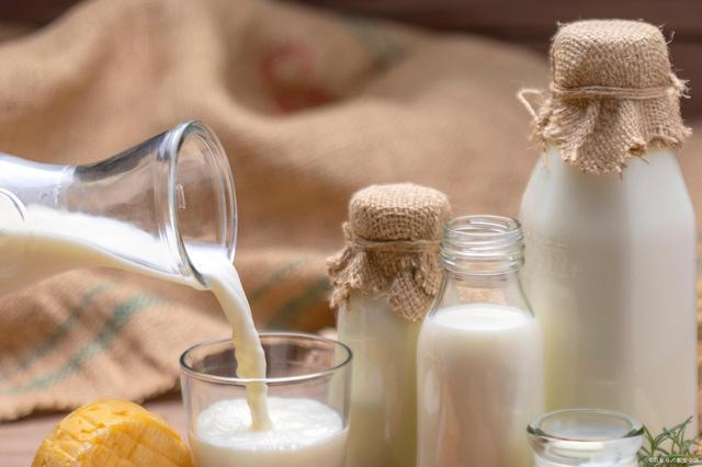 豆子补钙吗(豆子补钙嘛)-硒宝网