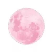 孕妇多久开始补钙（孕妇开始补钙就不流口水了吗）-硒宝网